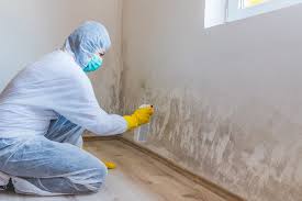 Best Water Damage & Mold Remediation in Social Circle, GA