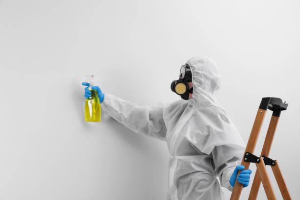 Best Biohazard Mold Removal in Social Circle, GA